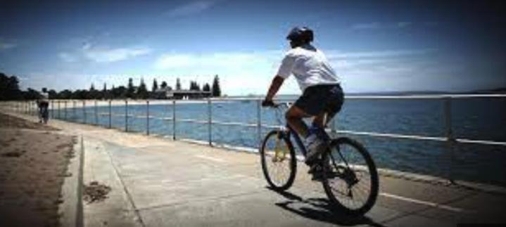 Sunny 2 Bed Restaurants Beach At Door Pets O.K Sydney Bagian luar foto